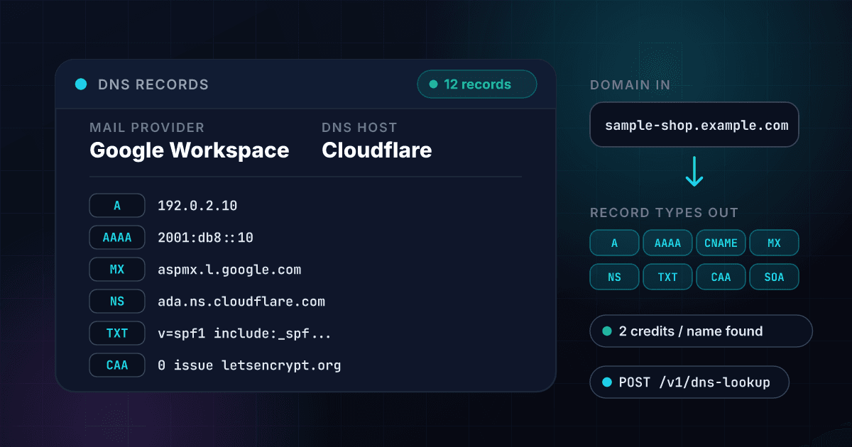 1Lookup DNS Lookup API turning the domain sample-shop.example.com into its DNS records, with the mail provider Google Workspace and the DNS host Cloudflare worked out from them, for 2 credits