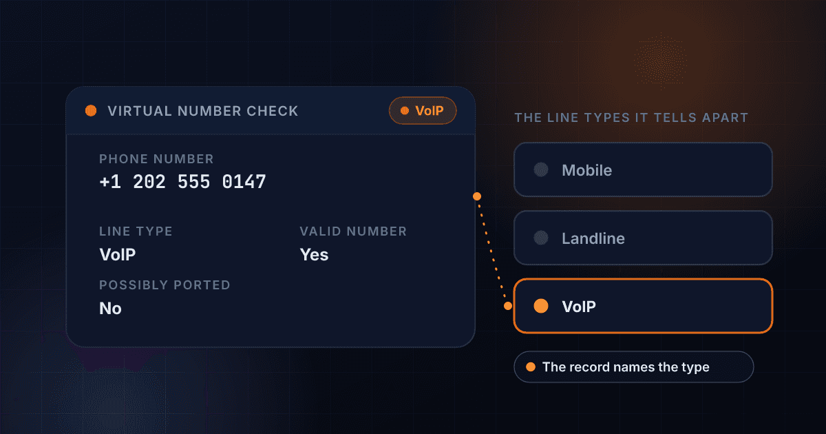 Virtual number checker result card showing a VoIP line type, a valid number and not possibly ported, beside the three line types it tells apart: mobile, landline and VoIP, with VoIP highlighted