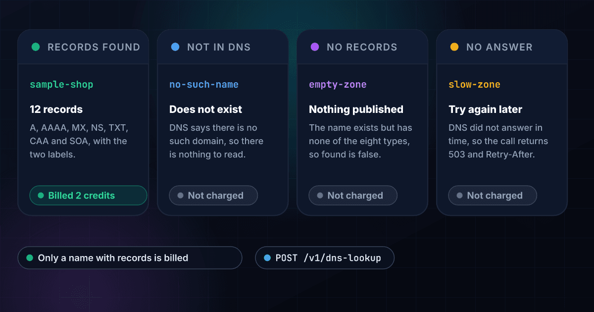 Four results of a DNS lookup: a name with records returns them for 2 credits, a name that is not in DNS is not charged, a name with none of the eight record types is not charged, and a lookup that times out returns 503 and is not charged