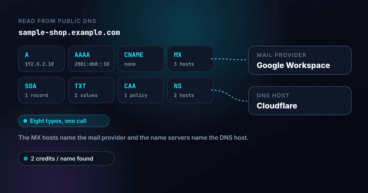 One DNS question for sample-shop.example.com returning eight record types, A, AAAA, CNAME, MX, NS, TXT, CAA and SOA, with the mail provider worked out from the MX hosts and the DNS host worked out from the name servers