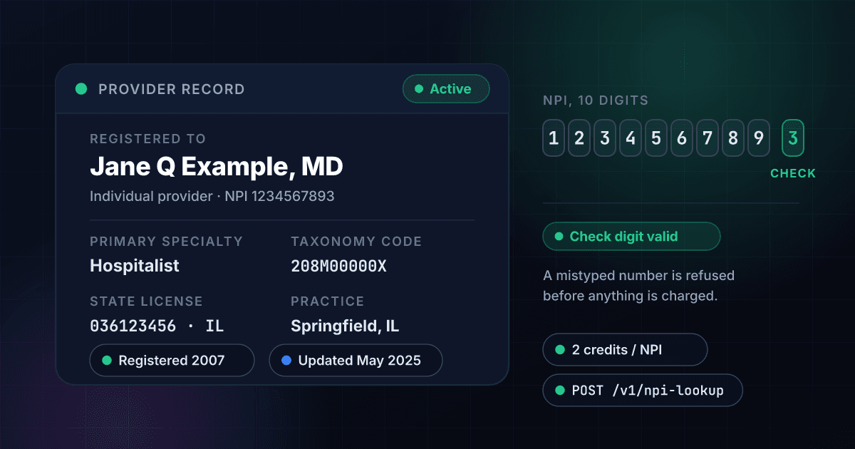 1Lookup NPI Lookup API showing a fictional provider, Jane Q Example, registered to NPI 1234567893 as an active hospitalist with an Illinois license, practice address and the date the number was registered