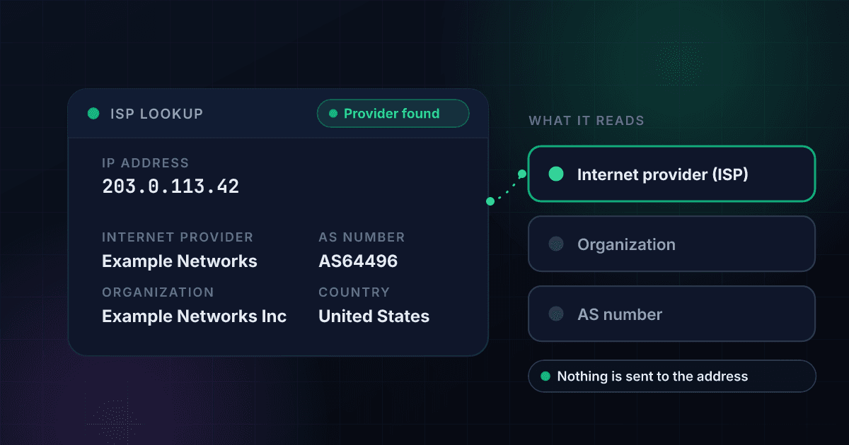 ISP lookup result card for the address 203.0.113.42 showing the provider Example Networks, the organization Example Networks Inc, the AS number AS64496 and the country United States, beside the three records it reads: provider, organization and AS number, with the provider highlighted