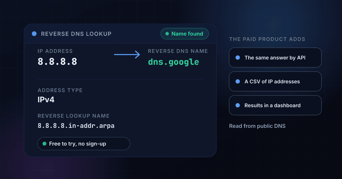 Reverse DNS lookup result card for the public address 8.8.8.8 showing that it resolves to dns.google, with its address type IPv4 and the reverse lookup name it was read from, beside what the paid product adds