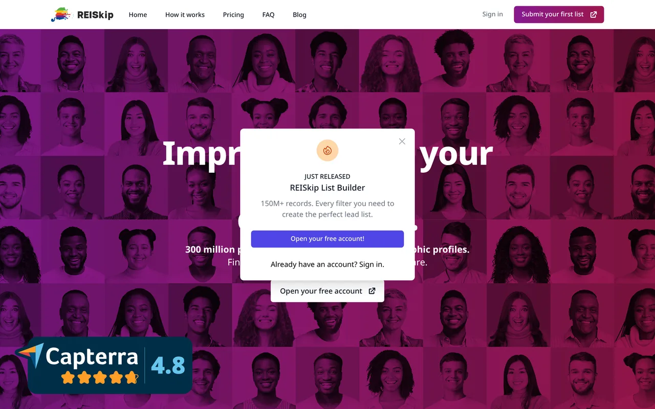REISkip homepage